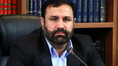 مشکل طولانی شدن فرآیند اداری ترخیص مواد اولیه شرکتهای داروسازی را به زودی برطرف میکنیم
