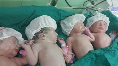 نخستین چهارقلوهای کاشان در سال 1403 به دنیا آمدند