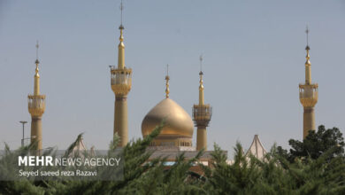 نمایندگان منتخب مجلس با آرمانهای امام خمینی(ره) تجدید عهد کردند