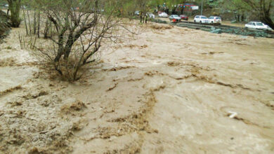 هشدار به تهرانیها اطراف رودخانهها اتراق نکنید / لزوم توجه شهروندان و گردشگران به هشدارها