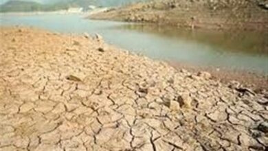 هماندیشی با کشاورزان خراسان رضوی برای گذر از چالش بیآبی