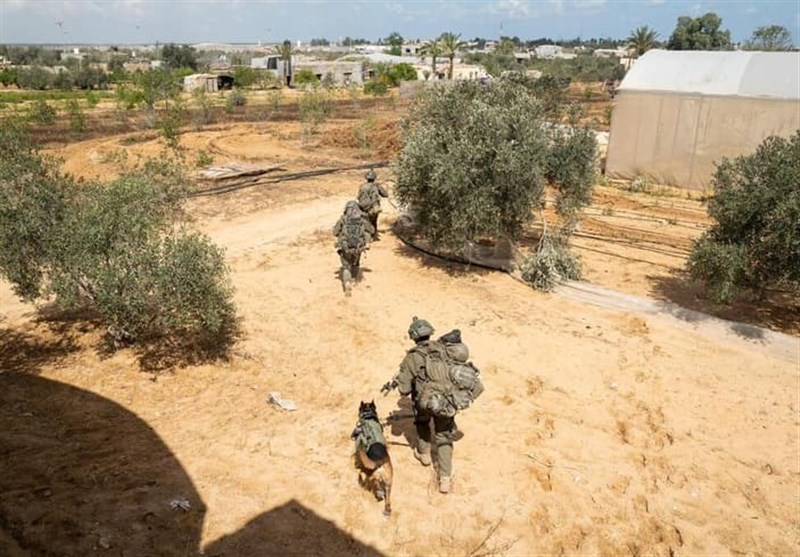 کارشناس صهیونیست: حماس درحال بازپس گیری مناطق غزه است