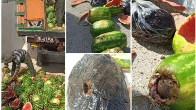 کشف 100 کیلوگرم تریاک جاسازیشده در بار هندوانه