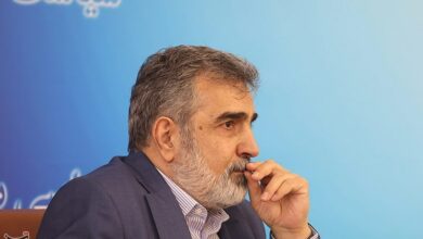 کمالوندی: ما به دنبال ساخت سلاح هستهای نیستیم