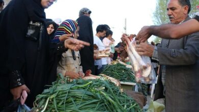 گیاهان بهاری؛ زینت بخش سفره لرستانیها+فیلم