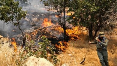 آتش به جان مراتع و جنگلهای گیلانغرب افتاد