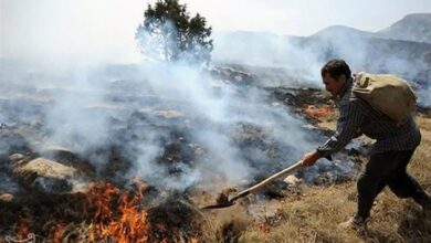 آتش دوباره به جان جنگلهای زاگرس افتاد