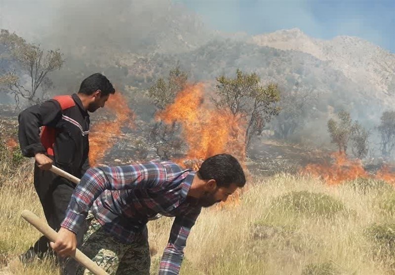 آتش سوزی جنگل ها و مراتع , استان کرمان ,