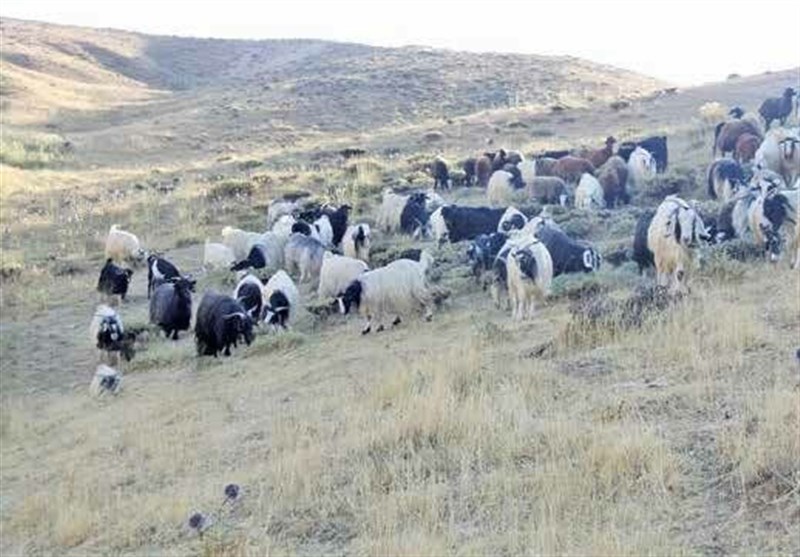 احتمال وقوع آتش سوزی در عرصههای طبیعی خراسان جنوبی