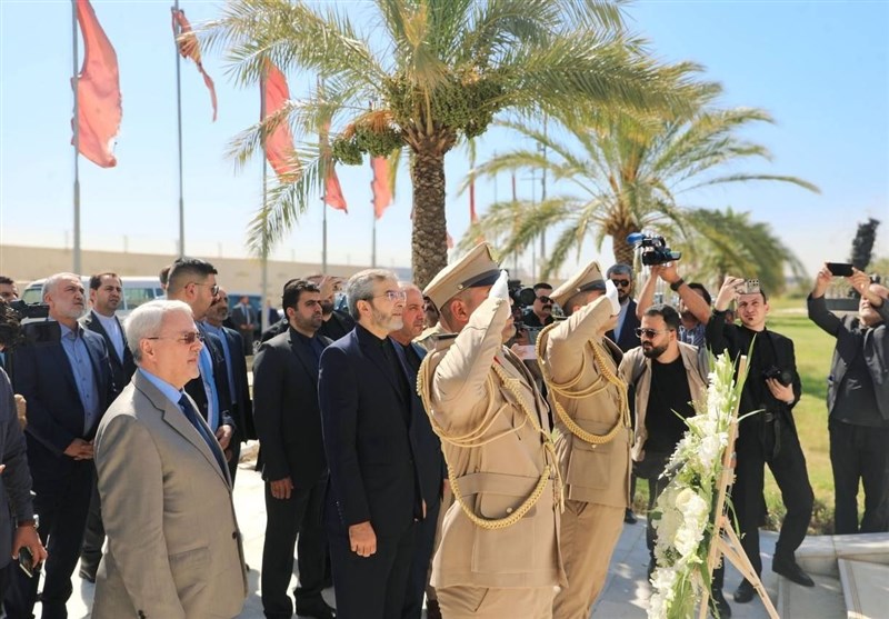 علی باقری کنی , کشور عراق , سردار قاسم سلیمانی ,