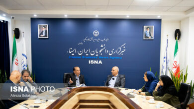 از قیمت خرید تضمینی گندم تا خودکفایی در تولید/ افزایش ۲۰ درصدی تولید گندم در دیمزارها