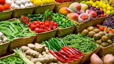 استفاده از دانشبنیانها برای افزایش محصولات کشاورزی