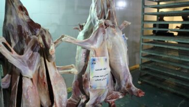 استقبال بوشهریها از پویش جهادی چله خدمت