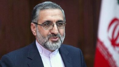 اسماعیلی: دولت نامزد مشخصی در انتخابات ندارد/ دوستان در نهایت کار روی یک فرد اجماع کنند