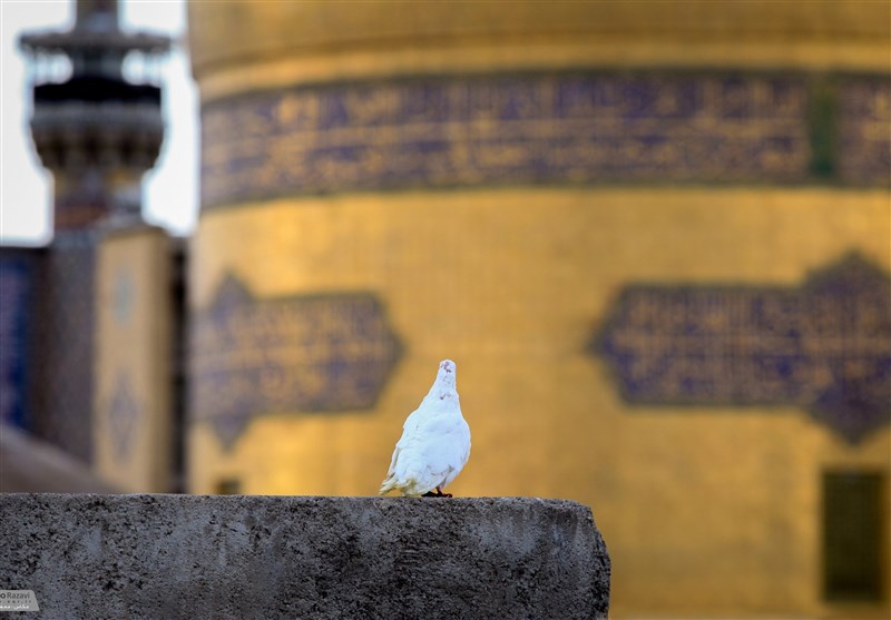 اعزام زیارت اولیهای خراسان شمالی به مشهد+فیلم