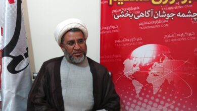 اعلام برنامههای دهه امامت و ولایت در فارس