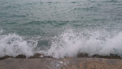 افزایش ارتفاع موج خلیج فارس در سواحل استان بوشهر