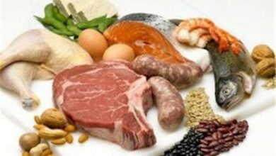 بازارچه پروتئین کاشان راهاندازی میشود