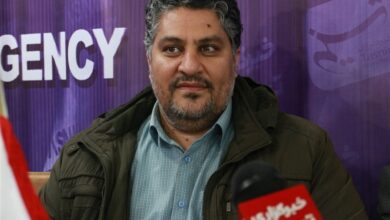 برنامهریزی خرید 450 هزار تن گندم در زنجان