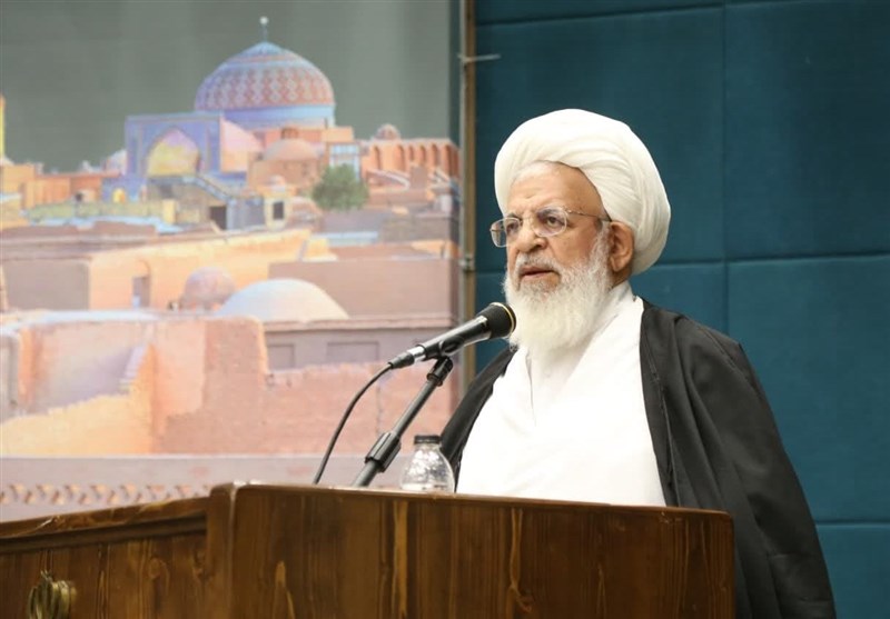 تأکید آیتالله ناصری بر اهمیت تفکر و عقلانیت در جامعه