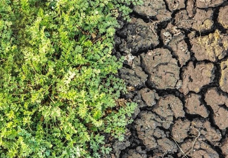 کشور ترکیه ,