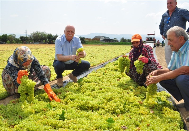 کشور ترکیه ,