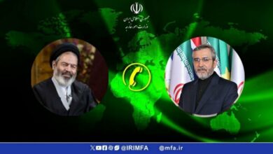 تاکید باقری برای استفاده ظرفیتوزارت خارجه برای برگزاری حج مطلوب