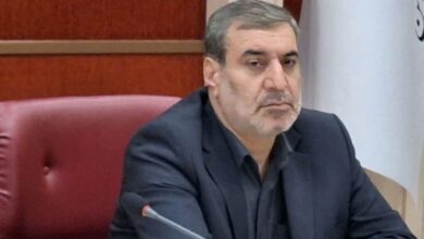 تشکلهای مردمنهاد شرکت پیمانکاری نیستند