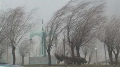 تندباد با سرعت 85 کیلومتر بر ساعت قم را در مینوردد