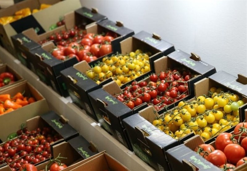 تولید 57 هزار تن محصول باغی در لرستان