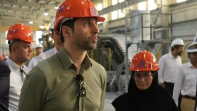 جذب سرمایهگذار و توسعه زیرساختها در منطقه ویژه اقتصادی لامرد