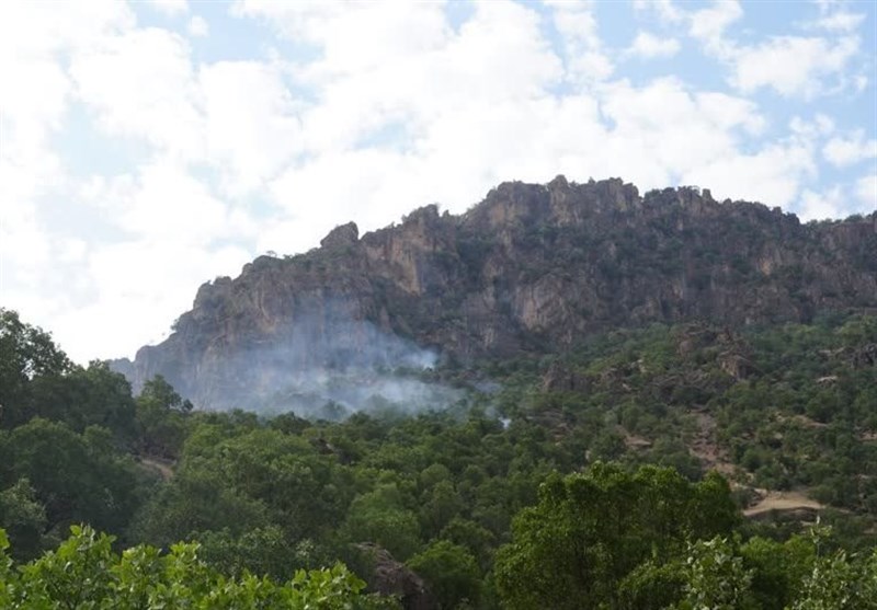 جنگلهای پاوه همچنان گرفتار آتش+ تصویر