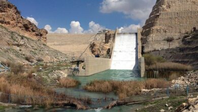 حال خوش سدهای ایلام/ "دویرج و ایلام" پر شدند + فیلم