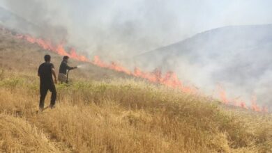 حریق ادامهدار در اراضی کوهدشت/ احتمال گسترش آتشسوزی