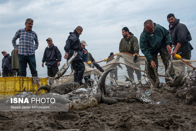 حلقه مفقوده توسعه مکران: نمیدانیم از ایران چه میخواهیم!