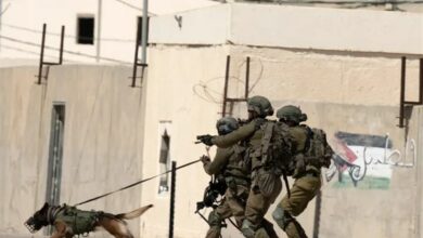 حمله صهیونیستها به زنان و کودکان غزه با سگهای وحشی