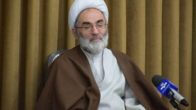 دولت قبل از واردات برنج تولید داخل را ارزیابی کند