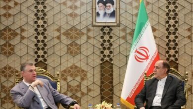 دیدار رئیس کمیته بینالملل دومای روسیه با حاجبابایی