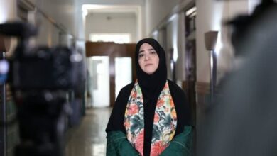 ردپای هنر در تمام شهرهای فارس وجود دارد