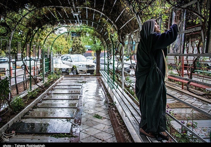 رشد 10 درصدی ساماندهی قبور و گلزار شهدای فارس