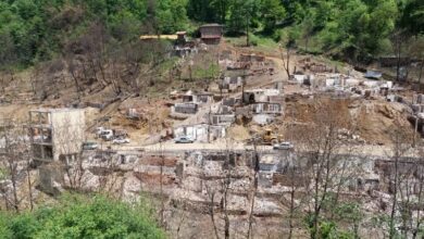 زخم سنگین آتش در امامزاده ابراهیم(ع) شفت/ اینجا را دریابید