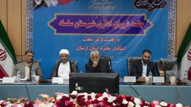 سردخانه 6 هزار تنی فیروزآباد با 40 درصد ظرفیت کار میکند