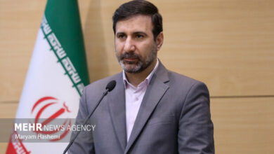 شورای نگهبان مستقل است و فراجناحی عمل میکند