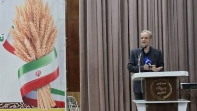 صادرات 136 هزار تن تخم مرغ از کشور در سال 1402