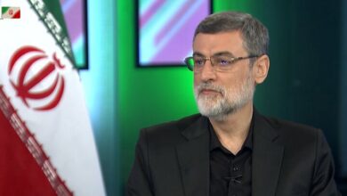 قاضیزاده هاشمی: نگاه ما به حوزه فرهنگ نگاه تمدنی است