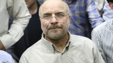 قالیباف کارنامه 12 ساله موفق در میدان عمل دارد