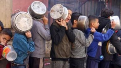 _قحطی_ _در_ _غزه_؛_آوارگان_ _به_ _خوردن_ _برگ_ _درختان_ _روی_ _آورده__اند_