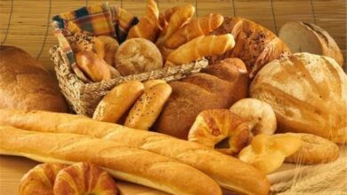 لزوم صنعتی سازی نان در دانشگاههای کشور