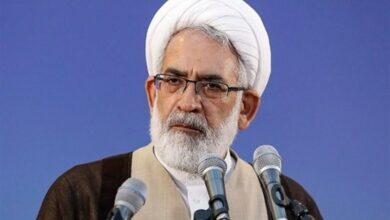 منتظری: حضور چشمگیر مردم در انتخابات دشمنان را دلسرد میکند