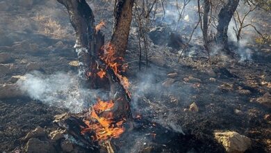 مهار آتشسوزی در اراضی کوهدشت